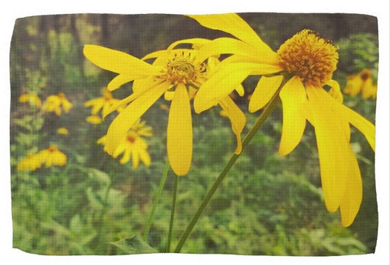 A Walk in the Woods Kitchen Towel