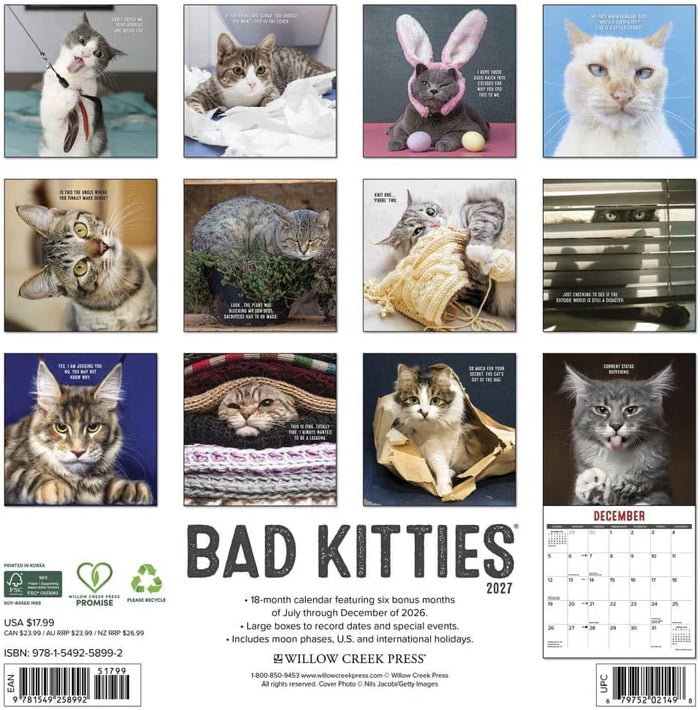 Bad Kitties - 2027 Wall Calendar | Willow Creek Press