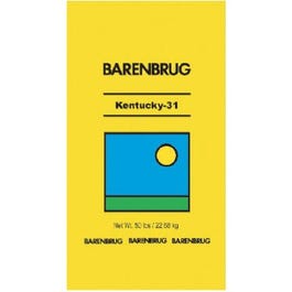 Barenburg Kentucky 31 Tall Fescue Grass Seed