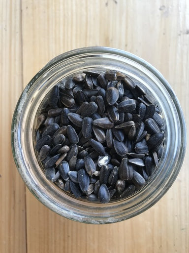 Ernst Grain & Livestock Non-GMO Black Oil Sunflowers