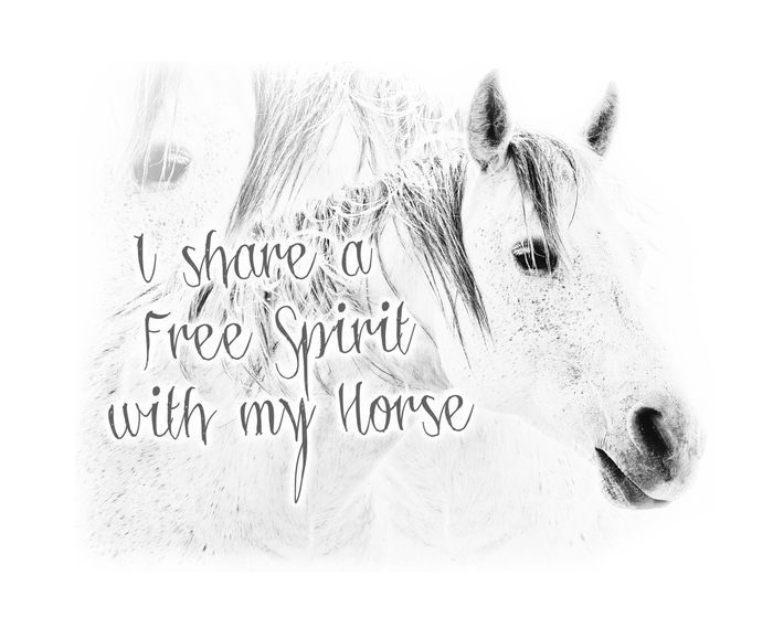 Free Spirit Horse 3/4 sleeve Raglan T-Shirt