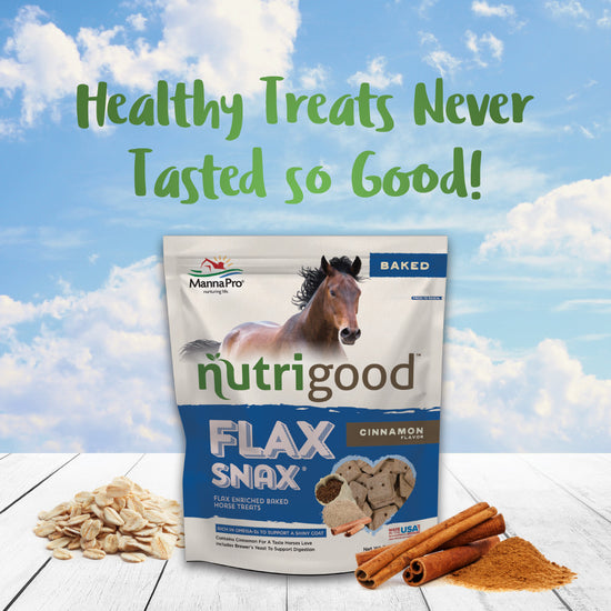Manna Pro Nutrigood™ Flax Snax Horse Treats