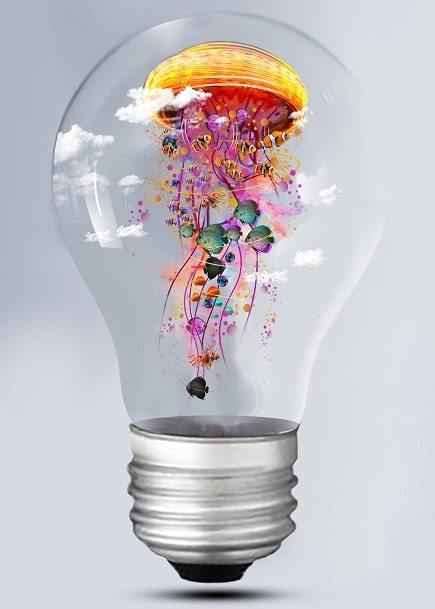 paint by numbers kit Electric Jellyfish