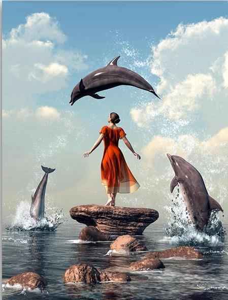 paint by numbers kit Girl and The dolphin