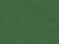 Porsche Nappa Full Grain Mamba Green