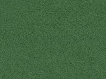 Porsche Nappa Full Grain Mamba Green