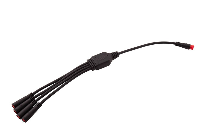 RGBW M8 5-Pin Splitter Wire (One)
