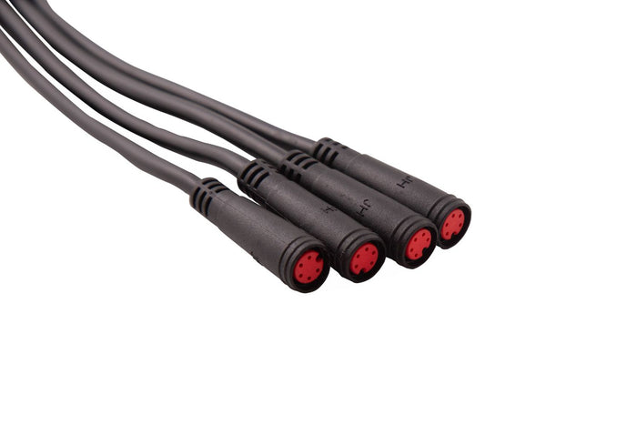 RGBW M8 5-Pin Splitter Wire (One)