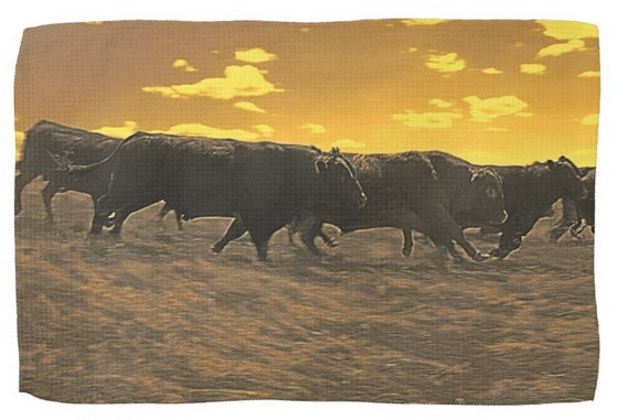 Running with the Boys Kitchen Towel