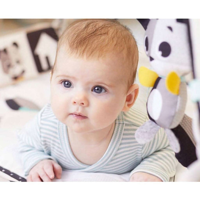 TINY LOVE Magical Tales Black and White Gymini-Walkers & Activity Centers-Tiny Love-ANB Baby Store